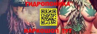 альфа пвп Берёзовский