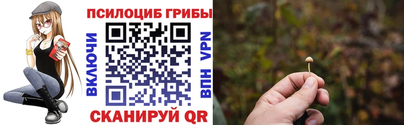 купить наркотик  Шумерля  Галлюциногенные грибы мухоморы 