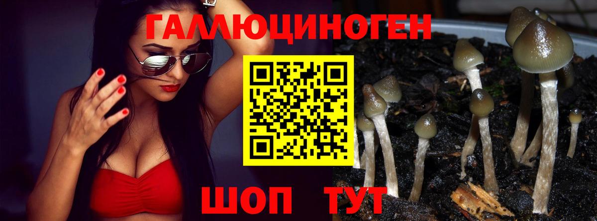 Псилоцибиновые грибы Cubensis  Галлюциногенные грибы MAGIC MUSHROOMS  Вход с VPN  Шумерля 